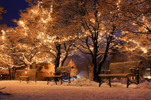 Ein Park in weihnachtlicher Atmosphäre